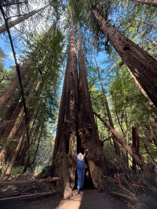 Home & Land Angelic Reiki Cleansing